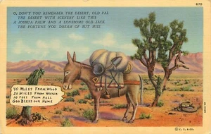 Comic Postkarte Vintage Donkey Jackass Desert Linen ungestempelt unbenutzt  - Bild 1 von 2