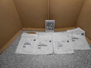 Cummins 145581 O-Ring Seal Lot of 4 - Picture 1 of 3