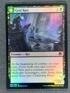 Graf Rats 091/205 Common Eldritch Moon Magic Card  MTG 2016 Foil - Photo 1/4