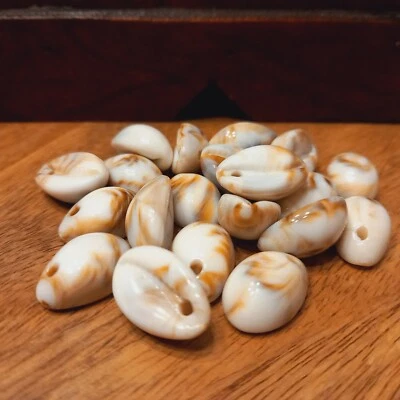 20 Acryl Perlen Anhänger Kauri Muschel Meer Maritim Schmuck 18x12mm - Bild 1 von 2