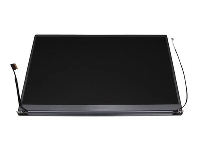 Medion Akoya P17615 original Displayeinheit 17,3 Zoll (FHD 1920x1080) grau - Bild 1 von 2