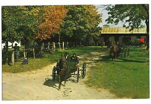 Mennonite Courting Buggy, "Heart of Dutchland", c1960s Unused Postcard