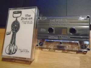 RARE PROMO The Posies CASSETTE TAPE Frosting On the Beater BIG STAR Minus 5 1993 - Picture 1 of 3