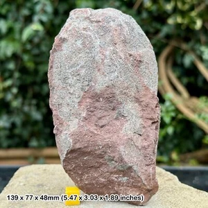 Theropod dinosaur egg fossil | hadrosaur ovaloolithus dinornithoides | genuine - Picture 1 of 2