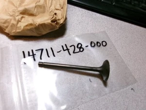 1978-81 HONDA XL XR 250 XL250 XL250S XR250 VALVE INTAKE NOS OEM 14711-428-000 - Foto 1 di 5