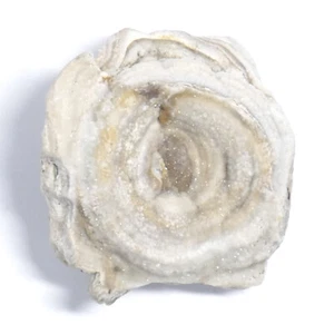 Interessante CHALCEDON Rosette ca. 30 x 29 x 11mm Chalcedonrose BRASILIEN 2405 - Bild 1 von 6