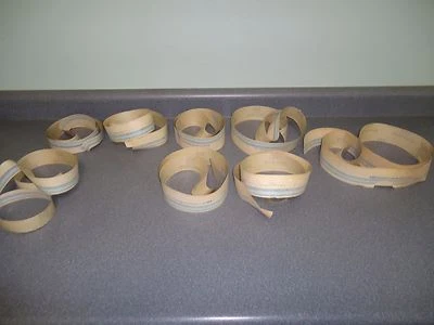 Nuevo kit de calcomanías a rayas de carrocería parcial Ford 1981 Escort Mercury Lynx 4 puertas OEM Foto 1 de 4