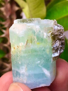 1440 CTS natürlicher und schöner blauer Farbaquamarin mit Moskauer Exemplar - Bild 1 von 5