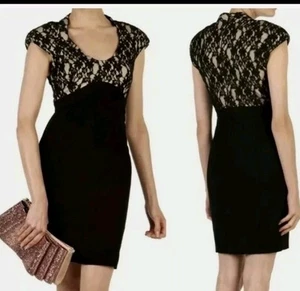 NEW Ted Baker London Lace bodycon Dress Size 2 (US 6) - Picture 1 of 2