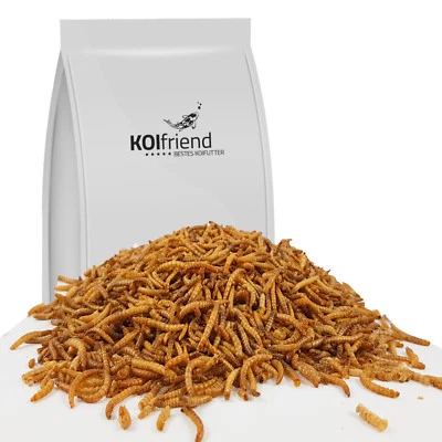 2 x 10 kg Mehlwürmer getrocknet Vogelfutter Koifutter Reptilien Fische Nager  - Bild 1 von 3