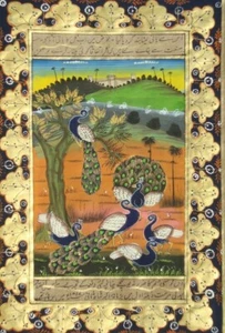watercolor Peacock Bird Miniature Art Handmade Nepal Thangka Painting - Picture 1 of 5