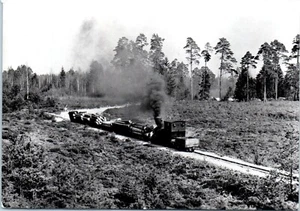 1910 Locomotive Grandma with Seven Cars of Timber, Sweden RPPC Postcard - Picture 1 of 2
