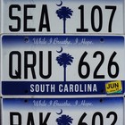 One Random SOUTH CAROLINA LICENSE PLATE Palm Tree Blue Flat License Plate Tags
