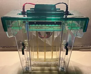 Bio-Rad PROTEAN II xi Zelle vertikale Elektrophoresezelle mit Sonden NEU - Bild 1 von 4
