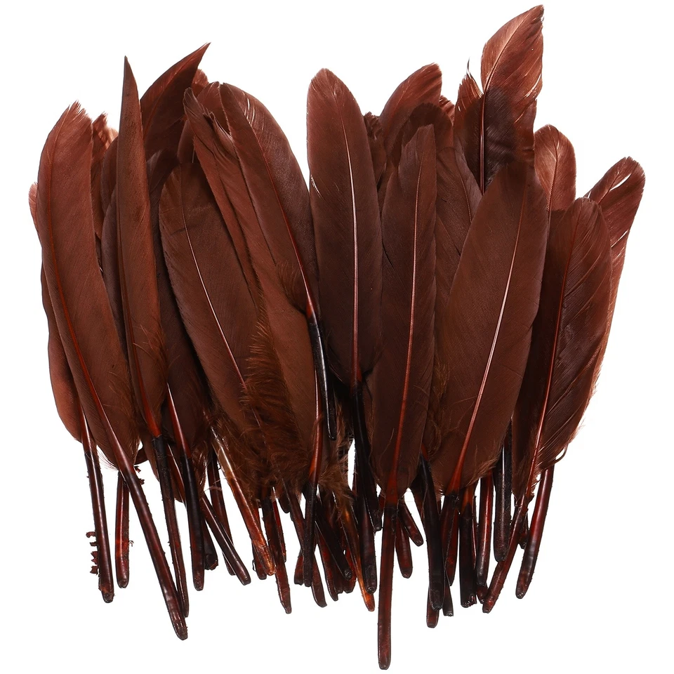 100 Pcs 4-6" Feathers Long DIY Goose Feather Hat Dream Catcher Dark Brown - Image 1 of 4