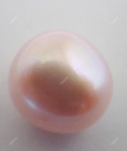 9.30 Cts Indian Pearl Loose Gemstone Pendant Supply Crescent Cabochon 9x11 mm - Picture 1 of 9