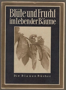 Lehrbuch der Biologieg Blüte und Frucht im Leben der Bäume Bartels Ausgabe 1930 - Picture 1 of 2
