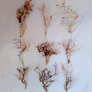 1x Driftwood Branches Aquarium Moss Tree Fish Tank Ornament Landscape Decoration - Picture 1 of 14
