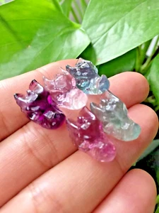 5 Stck. Natürlicher Fluorit Geschnitzt Mini Drachenschädel Kristall Reiki Heilung Geschenke - Bild 1 von 10