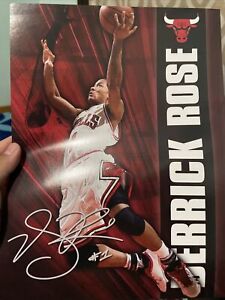 Derrick Rose Autograph Poster Chicago Bills