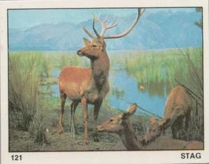 Top Sellers Card - Animals of The World - Card No 121 - Stag - Picture 1 of 2