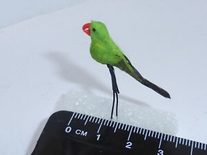 1:12 Scale 1 X Hand made Parrot p Dolls House Miniature Accessory