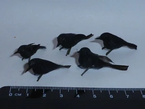 1 X Accesorio miniatura para casa de muñecas Black Bird (aleatorio) hecho a mano escala 1:12 - Imagen 1 de 1