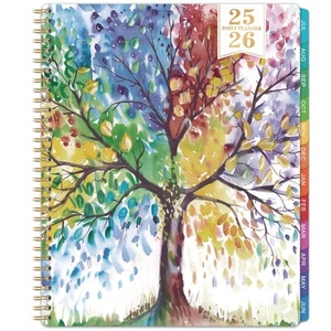 Daily Planner 2025-2026 - Appointment Book 2025-2026, 9'' x 11'', Hourly Plan... - Picture 1 of 8