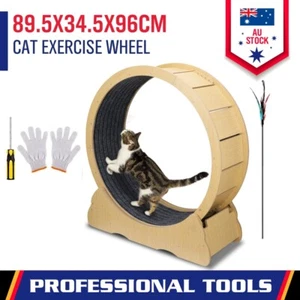 Cat Wheel Running Toy Fitness Exerciser Workout Treadmill Machine Circle Wood - Picture 1 of 9