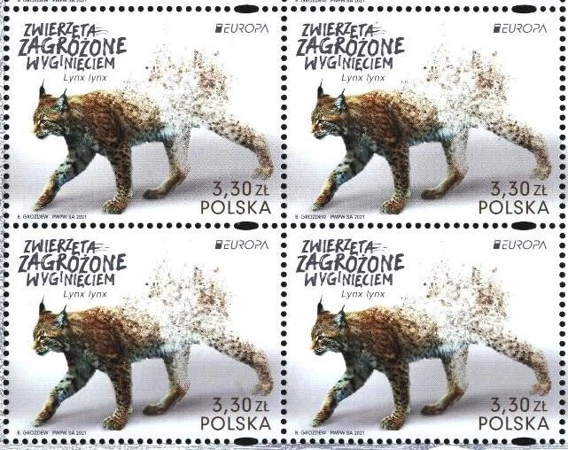 Mint stamp in block  Europa CEPT  Lynx 2021  from Poland   avdpz - Image 1 of 1