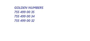 VIP GOLDEN MEMORABLE NUMBERs PAYG As You Go LEBARA SIM Card ZERO CREDIT - Picture 1 of 1