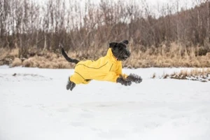 Rukka Pets Dog & Puppy Clothing - Protect Overall Jacket - Picture 1 of 14