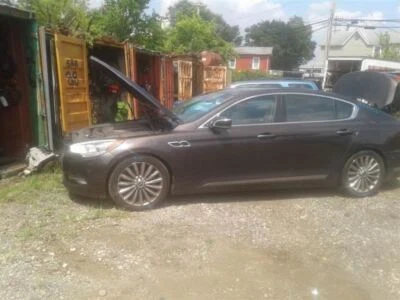 (DRIVERS BUCKLE)Seat Belt Front Driver Buckle Fits 15-17 K900 1674877 - Изображение 1 из 4