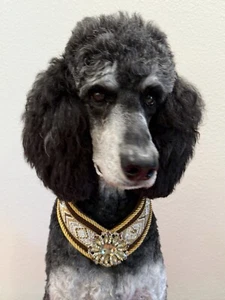 Handmade 17-19” ‘Spoiled Pup Bowtique’ Yellow And Brown Dog Collar Gently Used - Picture 1 of 4