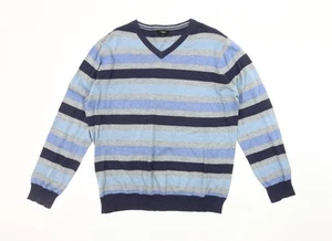 Thomas Nash Men's Blue Striped V-Neck Pullover, Size L - Picture 1 of 12