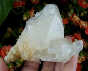 TOP Calcit & Kristalle Quarz Bourg d'Oisans 9x6,5cm Isère Frankreich UV Rose Stein - Bild 1 von 11