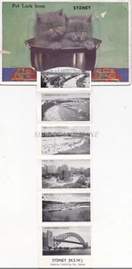 AUSTRALIA - Pot Luck from Sidney, Cats, Accordion Leporello Postcard - Picture 1 of 3