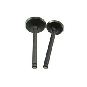 23mm 27mm Intake Exhaust Valves For Lifan YX 125cc 140cc Engine Pit Dirt Bike - Picture 1 of 9