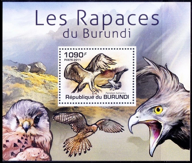 Osprey, Birds of Prey, Raptors, Burundi 2011 MNH Sheet   - Image 1 of 1