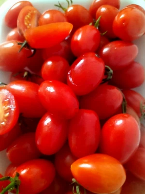    Tomato Angelle 25 Seeds - BUY ONE GET ONE  FREE  - Image 1 of 2