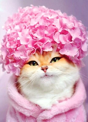 Divertida Tarjeta FELIZ CUMPLEAÑOS, Gatito Gato Rosa Hortensia Gorra Femenina de Avanti +✉ Foto 1 de 4