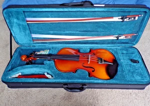 Juego de violín PHOENIX tamaño completo 4/4, violín madera maciza - profesional principiante @dS - Imagen 1 de 14