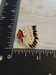 CSWBA Chief Indian Bowling Vintage Lapel Hat Jacket Vest Pin Brooch og - Picture 1 of 2