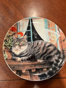 Tiger gestreift Haus Katze dekorativ 8" Teller mit Fenster Hintergrund - Bild 1 von 6