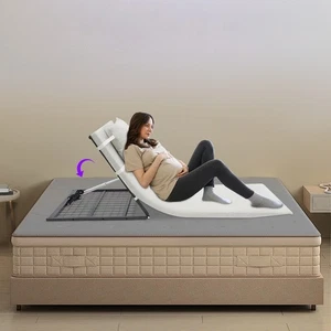 330.69lbs Adjustable Lifting Bed Backrest Electric Electric Lifting Bed Backrest - Picture 1 of 24