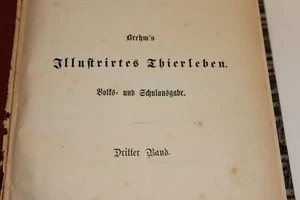 BREHM´S ILLUSTRIERTES THIERLEBEN-DRITTER BAND-NIEDERE THIERE-1879 - Bild 1 von 4