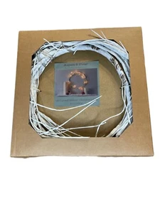Aspen & Pine Led Lighted Garland 6ft New In Box - Picture 1 of 2