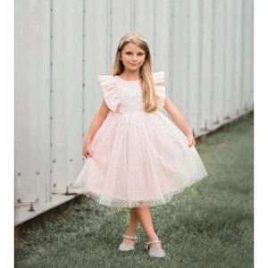 NWT Trish Scully Girls Size 7 Carolina Pink Lace Tulle Dress - Picture 1 of 8