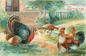 Thanksgiving Day Turkey Farm Scene Chickens Rooster 1907 Postcard - Picture 1 of 2