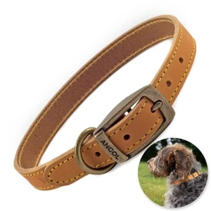 ANCOL™ TIMBERWOLF DOG COLLAR 35cm - 43cm Neck Size Top Grain Mustard Leather UK - Picture 1 of 4